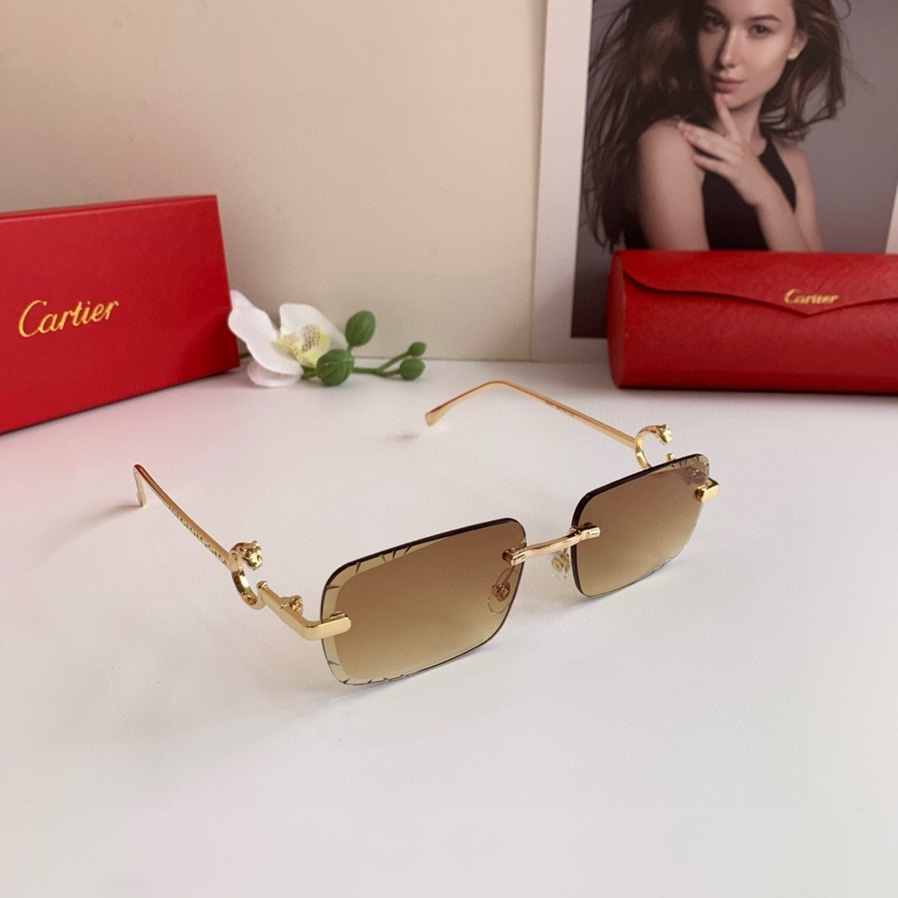 Cartier Gold and Brown Women's Sunglasses
